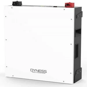 DYNESS LITHIUM BATTERY A48100 (48V100AH 4.8KWH)